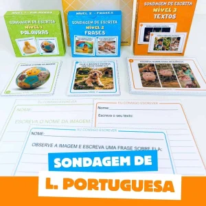 Sondagem de Língua Portuguesa por Níveis